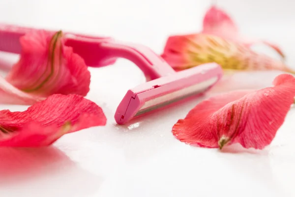 Blade of the razor and petal — Stock Photo, Image