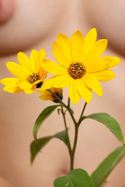 Bir kadın bedeninin karşı sarı çiçek — Stok fotoğraf
