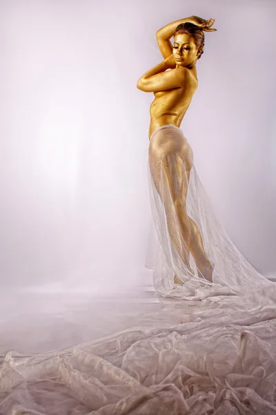 stock image Golden statue