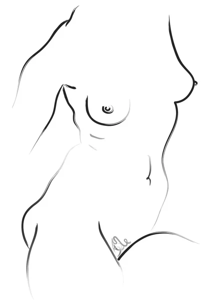 stock vector Nude figure - vector